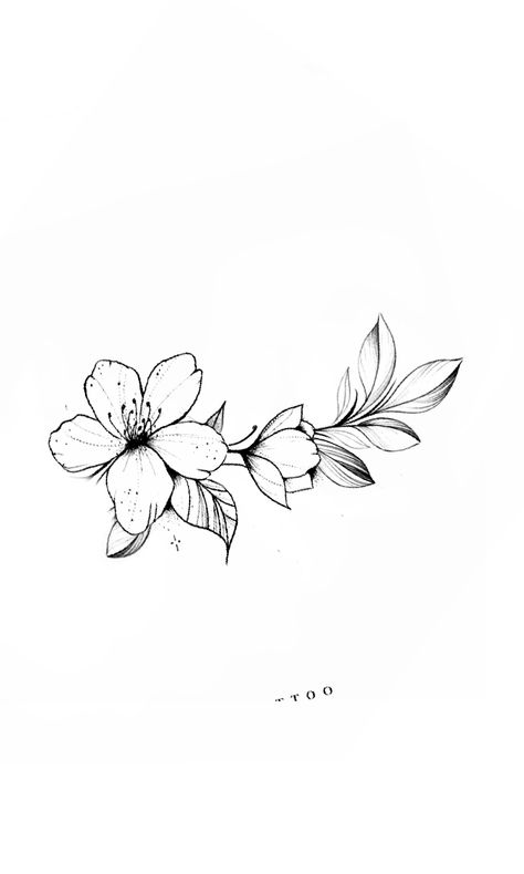 Hubiskis Flower Tattoo, Azalea Flower Tattoo, Applic Work, Flower Black And White, Azalea Flower, Flower Black, Pyrography, Cute Tattoos, Small Tattoos