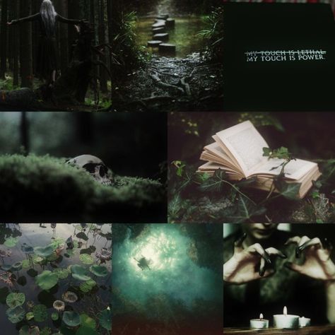 Bayou Witch Aesthetic, Lake Witch Aesthetic, Swamp Aesthetic Dark, Green Witchcraft Aesthetic, Swamp Witchcraft, Swamp Witch Aesthetic, Magick Aesthetic, Swamp Aesthetic, Poison Heart