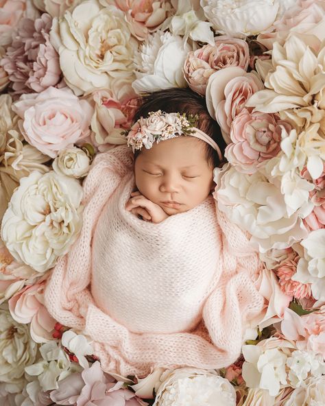 Infant Girl Photoshooting Ideas, Newborn Baby Girl Photoshooting, Spring Newborn Photoshoot, Newborn Photoshoot Ideas Girly, Newborn Photoshoot Girly, Baby Girl Newborn Photoshooting Ideas, Newborn Diy Photoshoot, Newborn Baby Girl Photoshooting Ideas, Baby Girl Newborn Shoot