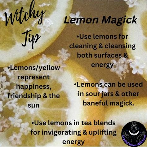 Goddess Magick, Kitchen Witch Recipes, Tea Remedies, Witch Tips, Lemon Uses, Nature Witch, Healing Spells, Magick Book, Witch Spell Book