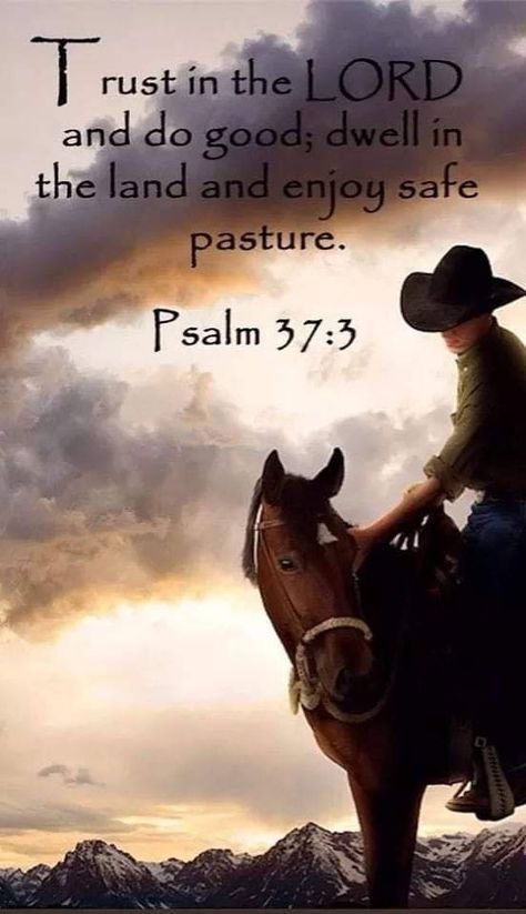 Psalm 37 3, Inspirational Horse Quotes, Cowboy Quotes, Licensed Professional Counselor, Psalm 37, Trust In The Lord, Horse Quotes, Christian Encouragement, Bible Verses Quotes Inspirational