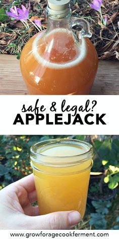 Diy Liquors, Hard Cider Recipe, Making Hard Cider, Wine Making Recipes, Homemade Wine Recipes, Mead Recipe, Homemade Alcohol, Hard Apple Cider, Homemade Liquor