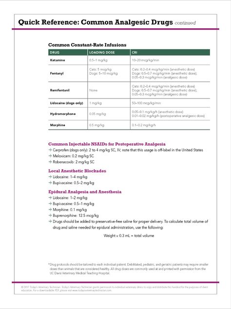 A quick reference guide of commonly used analgesic drugs for veterinary technicians and veterinary nurses. Anesthesia Monitoring, Veterinary Technician Student, Veterinary Art, Veterinarian Medicine, Vet Nursing, Veterinary Nursing, Vet Tech School, Vet Notes, Work Notebook