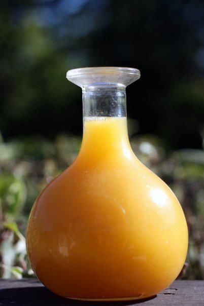 Tej, a type of mead or honey wine, is a national drink of Ethiopia and is thought to be one of the oldest drinks in the world.  Legend tells us that Makeda, the Queen of Sheba, visited King Solomon on a diplomatic mission, and they toasted each other with Makeda's Tej. Homemade Wine Recipes, Ethiopia Travel, The Queen Of Sheba, Ethiopian Culture, Beautiful Culture, Queen Of Sheba, Honey Wine, African Life, Ethiopian Coffee