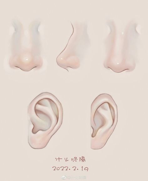 How To Color Mouth Digital, Shape Anatomy, Nose Reference Drawing, Nose Reference, Digital Painting Techniques, Art Advice, 얼굴 그리기, Paint Brush Art, Human Anatomy Art