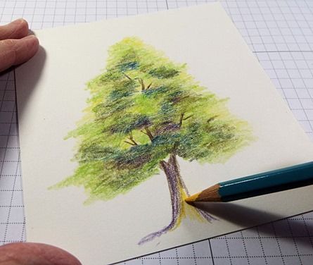 Art Kid Aesthetic, Pencil Sketches Landscape, Tree Drawings Pencil, Color Pencil Sketch, Pencil Trees, Color Pencil Illustration, Green Pencil, Art Projects For Adults, Easy Acrylic Painting