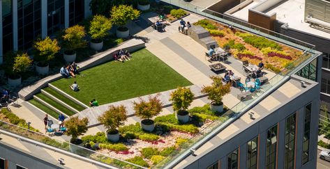 https://www.walkermacy.com/projects/amazon-headquarters/ Public Terrace Design, Rooftop Design Architecture, Roof Landscape Design, Amazon Headquarters, Rooftop Landscape, Terrace Architecture, Green Roof Project, Roof Landscape, Parking Building