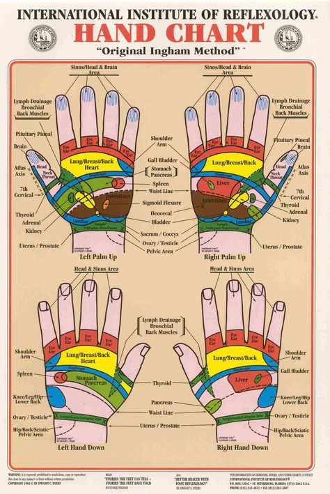 Hand Chart, Reflexology Foot Chart, Hand Reflexology, Reflexology Chart, Reflexology Massage, Foot Reflexology, Acupressure Points, Alternative Health, E Card