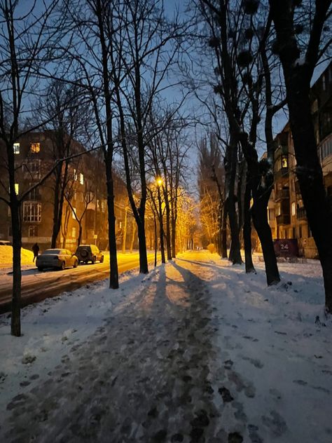 Kyiv - evening - night - nobody - alone - winter - snow - cold Dark Naturalism, Random Aesthetics, Winter Mood, Winter Evening, Cold Night, Winter Nights, Winter Night, Winter Aesthetic, Wallpaper Ideas