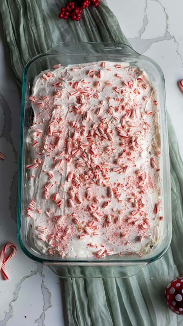 Pyrex on Instagram: "If eating ice cream in December is wrong, we don’t want to be right ❄️! We’re making this Peppermint Ice Cream Sandwich Cake with the help of our Deep Dish. Check it out at the link in our bio.   Peppermint Ice Cream Sandwich Cake Recipe What You’ll Need: • Pyrex Deep 9 x 13” Rectangular Baking Dish • Ice Cream Scooper • Spatula Ingredients: • 16.5oz premade sugar cookie dough • 48oz mint chocolate chip ice cream • 10 Klondike Bars • 48oz peppermint bark ice cream • Crushed candy canes, to garnish Instructions: 1. Roll cookie dough into small balls and place side by side in Pyrex Deep Baking Dish. 2. Bake as directed on cookie dough packaging. 3. Let cool for 20 minutes, and then place in freezer for 20 minutes. 4. Remove Baking Dish from freezer and scoop Cookie Dough Packaging, Dough Packaging, Peppermint Bark Ice Cream, Sandwich Cake Recipe, Ice Cream Sandwich Cake Recipe, Christmas Ice Cream Cake, Cream Sandwich Cake, Christmas Ice Cream, Peppermint Ice Cream