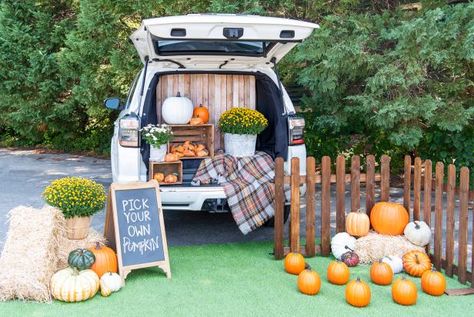 Halloween Car Decorations, Trunker Treat Ideas, Trunk Or Treat Ideas, Pumpkin Patch Sign, Easy Diy Halloween Decorations, Easy Halloween Decorations, Treat Ideas, Trunk Or Treat, Pumpkin Theme