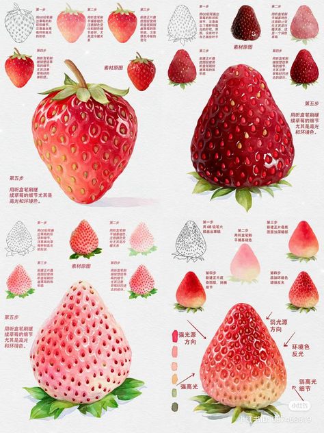 Fruit Painting Art, Strawberry Drawing, Vegetable Drawing, 귀여운 음식 그림, Procreate Ipad Art, Art Advice, Concept Art Tutorial, Food Illustration Art, Food Graphic Design