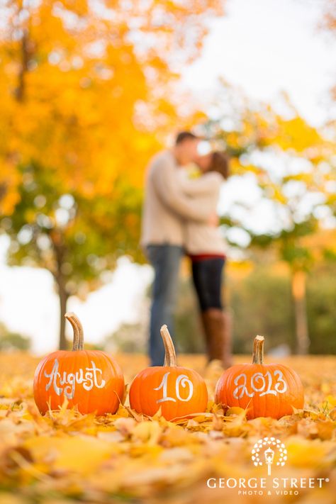 Fall Wedding Photos, Photography Pics, Offbeat Bride, Save The Date Photos, Engagement Photos Fall, Foto Poses, Wedding Engagement Photos, Fall Engagement, Wedding Planners