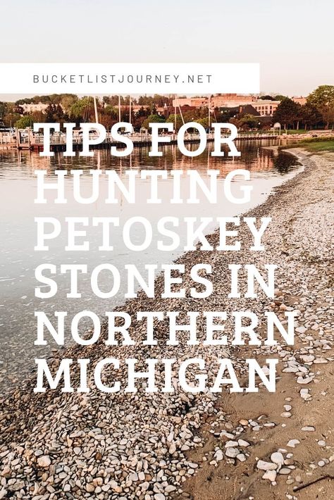 Petoskey Stones: Hunting for the Healing Rocks of Michigan Petosky Stone, Lake Michigan Stones, Petoskey Michigan, Exploring Wisconsin, Rock Identification, Healing Rocks, Michigan Adventures, Michigan Road Trip, Michigan Vacations