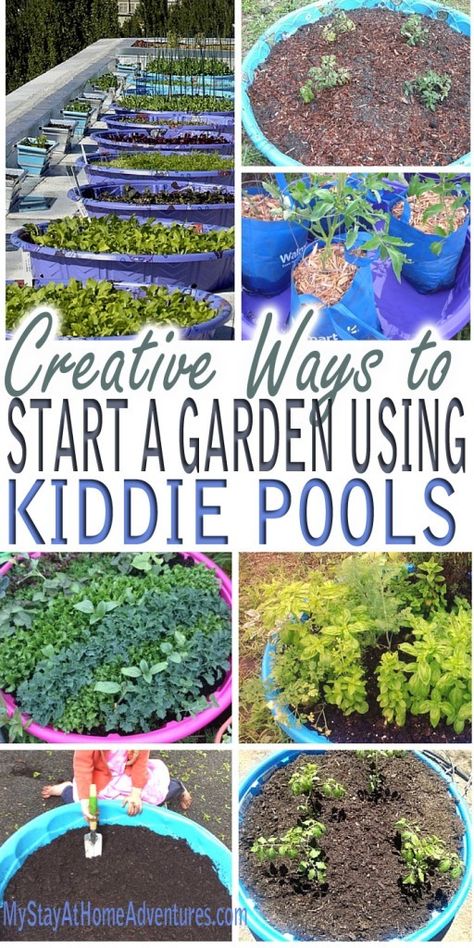 See the reasons and ideas as to why we will expand our garden using kiddie pools this year. The ways to use kiddie pools to grow your garden are clever and can be done at home. Garden Ideas India, Gardening Boxes, Terraced Vegetable Garden, Vegetable Garden Raised Beds, Starting A Garden, Kiddie Pool, Creative Gardening, Hydroponic Gardening, Pool Design