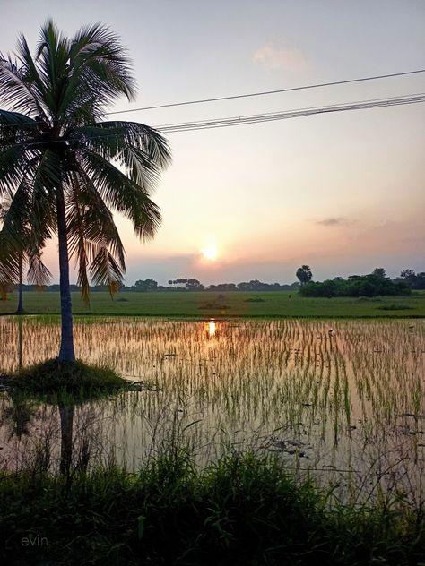 In nature, nothing is perfect and everything is perfect #village #sunset #farm #SouthIndia #TamilNadu Tamilnadu Village Photography, Luxury Car Logos, Nothing Is Perfect, Farm Village, Everything Is Perfect, Village Photography, Sky Pictures, Car Logos, South India