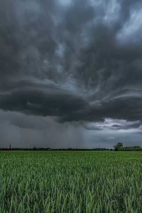 Overcast Weather, Dark Naturalism, Storm Chasing, Best Nature Images, Foggy Mountains, Wild Weather, Cloudy Weather, Surreal Photos, Pretty Landscapes