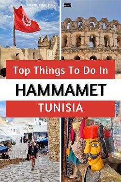 Things To Do In Tunisia, Carthage Land, Tunisia Hammamet, Tunisia Food, Tunisia Map, Tunisian Flag, Carthage Tunisia, Hammamet Tunisia, Tunisia Africa