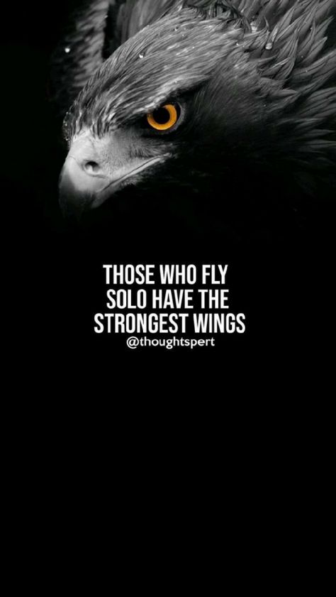 English Good Morning by Bhavesh Rathod : 111306352 | Matrubharti Eagles Quotes, Fighter Quotes, Beast Quotes, Lion Quotes, Inspirtional Quotes, Motivational Quotes Wallpaper, Strong Mind Quotes, Genius Quotes, Warrior Quotes