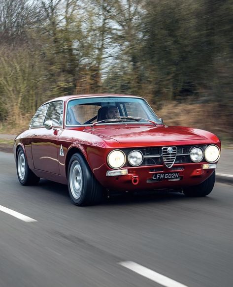 Alfa Bertone, Alfa Romeo Junior, Alfa Cars, Alfa Romeo Gta, Alfa Romeo Gtv, Vintage Sports Cars, Alfa Romeo Cars, Alfa Romeo Giulia, Classic Sports Cars