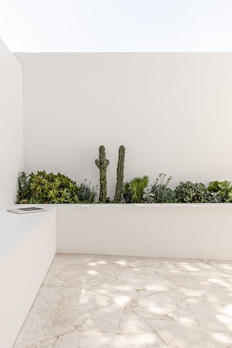 White Backyard Wall, Cement Patio Decorating Ideas, Palm Springs Garden, Patio Courtyard, White Patio, She Is Strong, Small Patio Garden, Minimalist Garden, Small Courtyards