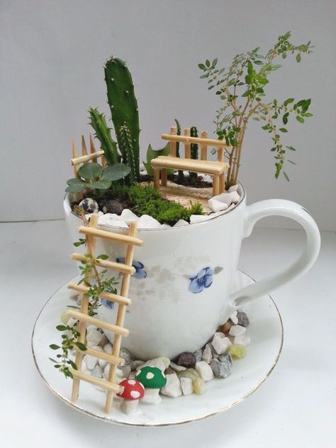 Teacup Fairy Garden, Kaktus Dan Sukulen, Fairy Garden Ideas, Teacup Gardens, Teacup Crafts, Fairy Garden Designs, Fairy Garden Crafts, Tea Diy, Diy Summer