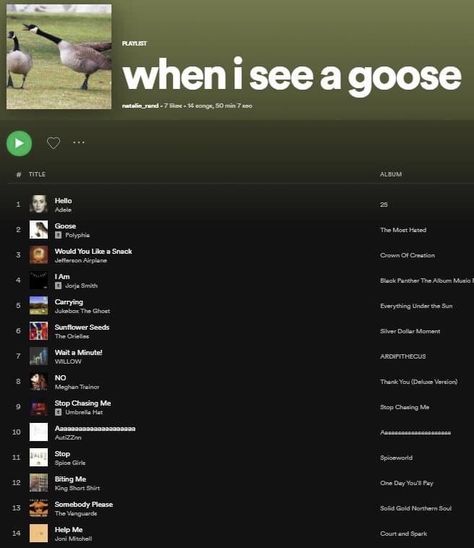 Weird Spotify Playlist Covers, Funny Spotify Playlist Names, Funny Spotify Playlist, Spotify Funny, Best Spotify Playlists, Silly Songs, Spotify Playlists, Silly Images, Song Playlist