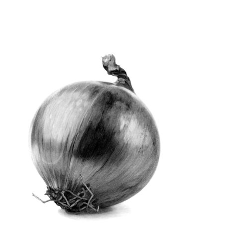 Onion Drawing, Charcole Drawings, Steel Life, Biro Drawing, Still Life Sketch, Bottle Drawing, Graphite Art, Realistic Pencil Drawings, Pen Art Drawings