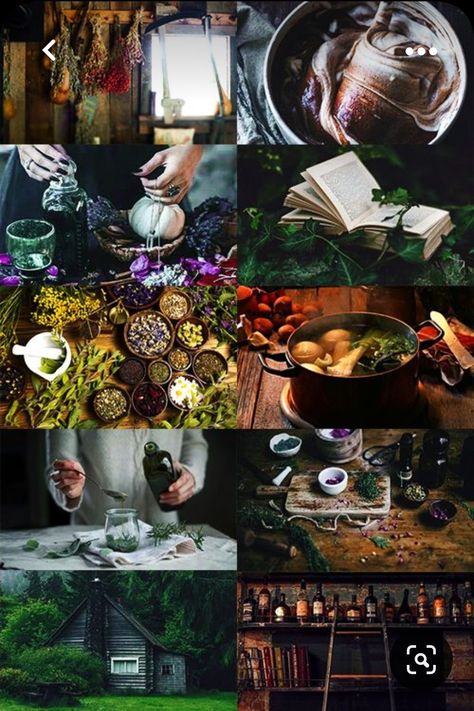 Cottage Witch Aesthetic, Green Witch Aesthetic, Fairy Oak, Nature Witch, Cottage Witch, Witch Cottage, Hedge Witch, Magic Aesthetic, Witch Aesthetic