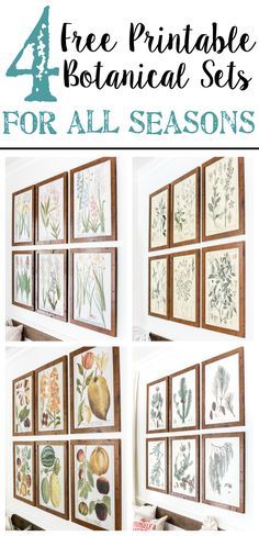 Four free printable sets of botanical art for all seasons of the year- spring, summer, winter, and fall - $3 each on color engineer prints or free from your own printer to frame as wall decor. #gallerywall #freeprintable #freeart Botanical Gallery Wall, Gallery Wall Printables, Farmhouse Side Table, Engineer Prints, Free Printable Wall Art, Decorating On A Budget, Diy Wall Decor, Diy Wall, Home Decor Ideas