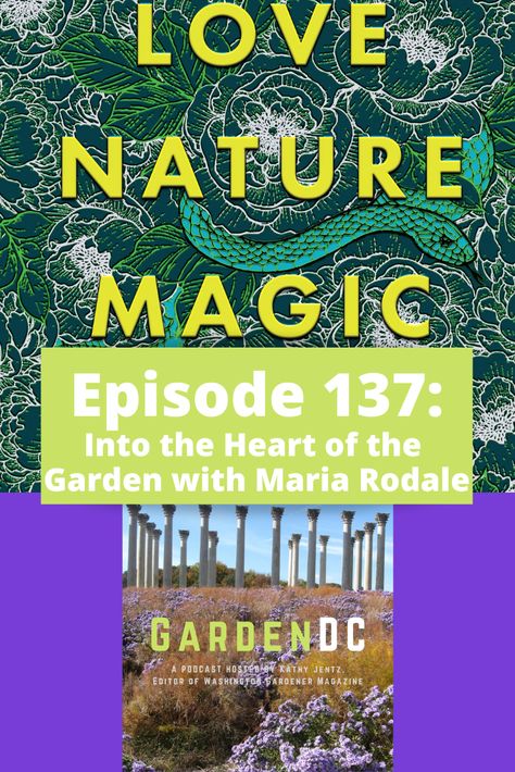 In this episode of GardenDC: The Podcast about Mid-Atlantic Gardening, we talk with Maria Rodale, author of Love, Nature, Magic: Shamanic Journeys into the Heart of My Garden. The plant profile is on Northern Spicebush and we share what's going on in the garden as well as some upcoming local gardening events in the What's New segment. We close out with Dr. Allan Armitage, who shares the Last Word on Sun- or Shade-loving Plants. Northern Spicebush, Nature Magic, Shamanic Journey, The Last Word, Love Nature, The Garden, Of Love, Podcast, Sun