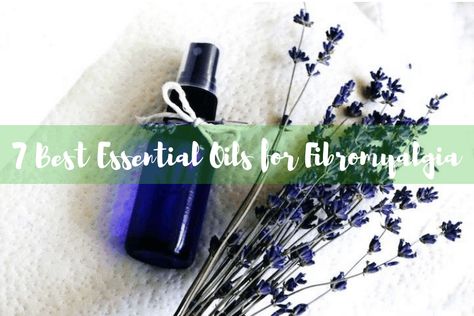 Essential-Oils-for-Fibromyalgia Fibromiologia Essential Oils, Topical Essential Oils, Basil Essential Oil, Essential Oil Remedy, Young Living Essential Oils Recipes, Healing Remedies, Ginger Essential Oil, Oil Remedies, Natural Healing Remedies