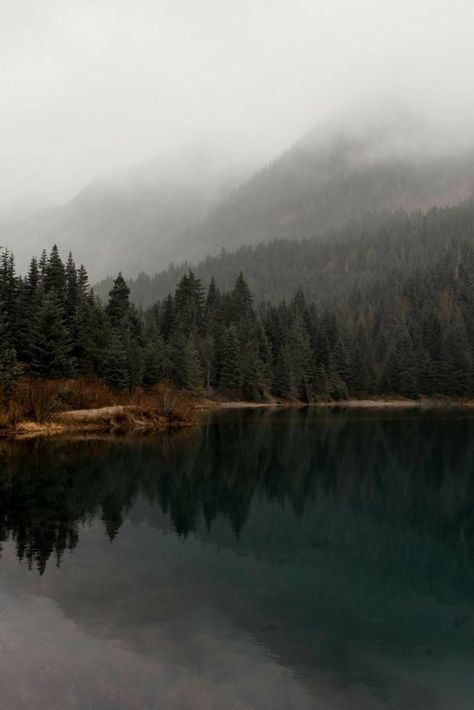 Pnw Aesthetic, Dark Naturalism, Mountain Aesthetic, Mountains Aesthetic, Mountain Photography, Nature Aesthetic, Color Rosa, Dating Site, Pretty Pictures