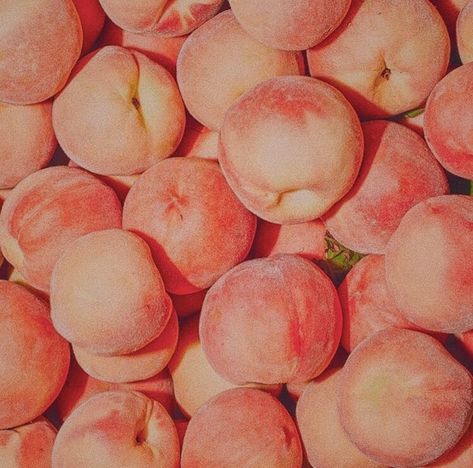 Fruit, peach, aesthetic, photography✨ Color Melon, Peach Walls, Peach Wallpaper, Peach Aesthetic, Peach Fruit, Orange Aesthetic, Peaches Cream, Peach Fuzz, Just Peachy