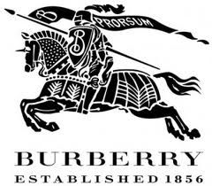 established in 1856 Luxe Logo, Luxury Brand Logo, Logo Quiz, Burberry Logo, Moda Chanel, Logo Creator, Famous Logos, Youtube Logo, Burberry Prorsum