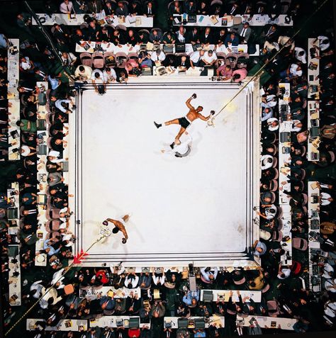 Neil Leifer, Foto Sport, Jesse Owens, Mohamed Ali, Muhammed Ali, Rare Historical Photos, Mohammed Ali, George Foreman, Sports Images