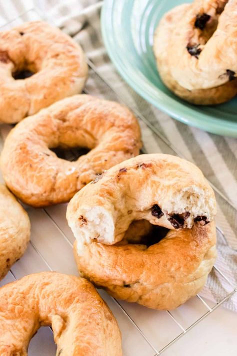 Homemade chocolate chip bagels are a delicious and filling breakfast, brunch or a quick, middle of the day pick me up. Panera Chocolate Chip Bagel Recipe, Homemade Chocolate Chip Bagels, Chocolate Chip Bagel Recipe, Chocolate Chip Bagel, Bagel Spread Recipes, Chocolate Chip Bagels, Bagel Recipes, Bagel Spread, Panera Recipes