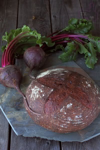 Beet Bread, Beet Puree, Sourdough Bread Starter, Bread Starter, Sourdough Starter Recipe, Wild Yeast, Beet Recipes, Dinner Rolls Recipe, Sourdough Baking