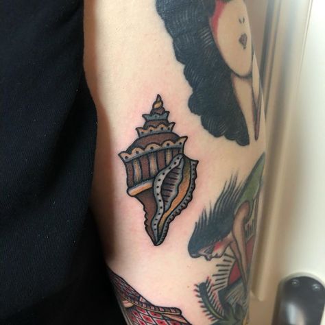 Nautilus Shell Tattoo, Traditional Sea Tattoo, Sea Shell Tattoo, Shell Tattoo, Shell Tattoos, Sea Tattoo, Ink Ideas, Many Thanks, Conch Shell