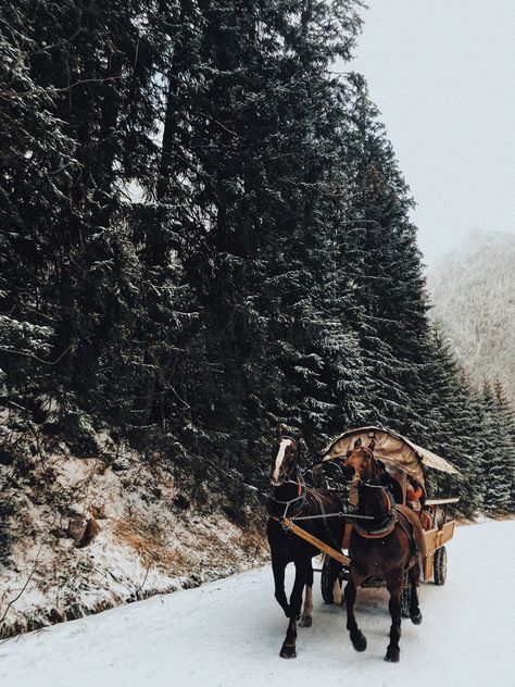 Zakopane Poland Winter, Zakopane Winter, Poland Winter, Zakopane Poland, Winter Horse, Zakopane, Horse Riding, Bachelorette Party, Poland