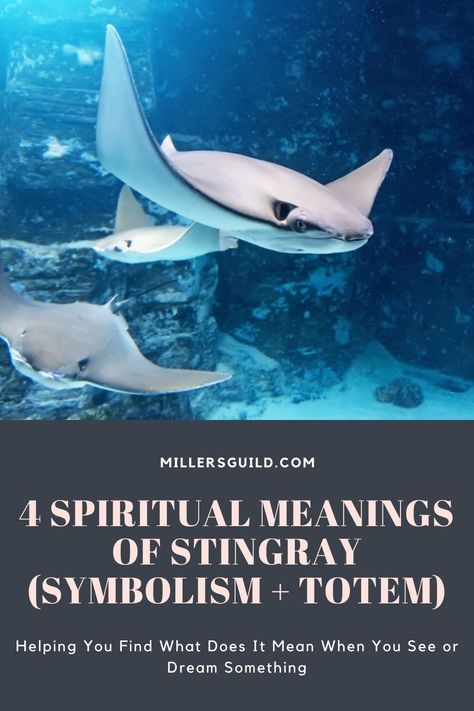 Sting Ray Tattoo Meaning, Stingray Quotes, Stingray Symbolism, Animals Symbolism, Sting Ray Tattoo, Stingray Tattoo, Spirit Animal Meaning, Animal Meanings, Spiritual Animal