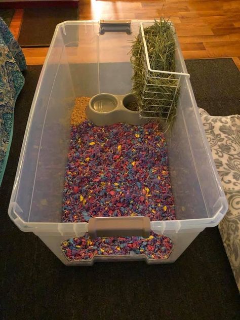 Hay Box For Rabbits, Diy Hay Feeder For Rabbits, Diy Bunny Litter Tray, Diy Rabbit Litter Box And Hay Feeder, Hay Storage Ideas Bunny, Diy Rabbit Hay Feeder, Diy Hay Feeder Rabbit, Guinea Pig Litter Box Ideas, Bunny Litter Box Ideas