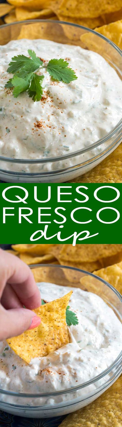 Queso Fresco Dip: creamy sour cream, fresh cilantro, crumbled white queso fresco and a few Mexican spices are all you need to make this easy dip! Quest Fresco Dip, Quezon Fresco Recipes, Caso Fresco Recipes, Quest Fresco Recipes, Queso Fresco Dip, Quest Fresco, Potato Taquitos, Easy Queso, White Queso