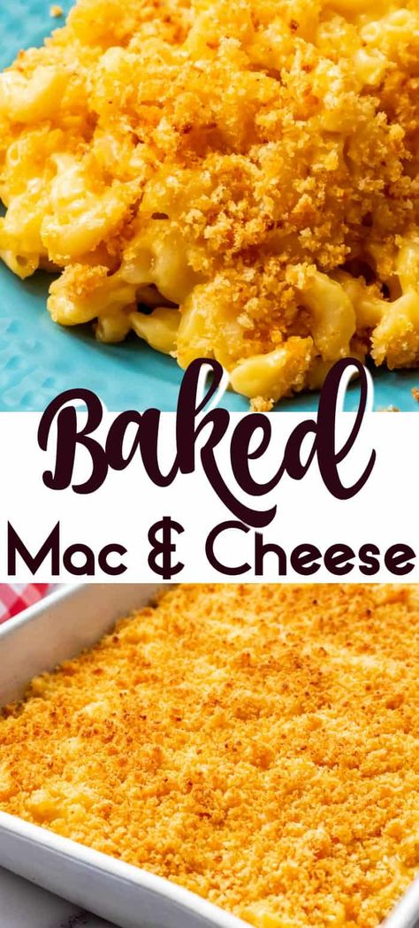 Baked Mac and Cheese is the ultimate comfort food! It is perfect for a pot luck, dinner party, barbecue or just as a great easy side dish! Creamy, cheesy and only takes 20 minutes to pull together this delicious weeknight dinner! #casserold #stovetop #baked #panko #breadcrumbs #homemade #fromscratch #easy #southern #macaroni #soulfood #sidedish #foracrowd Homemade Mac And Cheese Recipe Baked, Best Mac N Cheese Recipe, Baked Mac And Cheese Recipe, Bake Mac And Cheese, Baked Macaroni And Cheese, Easy Mac And Cheese, Easy Cheese Recipes, Macaroni Recipes, Baked Mac N Cheese