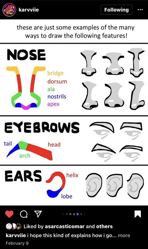 How To Draw Liquid, Nose Shapes Drawing, Comic Tutorial, Anatomy Tutorial, Art Advice, Human Anatomy Art, Body Reference Drawing, Drawing Expressions, Figure Drawing Reference