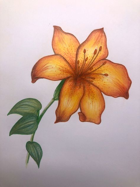 Cool Art Drawings Flowers, Art Ideas Flowers Drawing, Simple Flower Drawing Colour, Ideas To Draw Flowers, Art Reference Photos Flowers, Landscape Ideas To Draw, Drawing Inspiration Colored Pencil, Pencil Color Drawing Flowers, Close Up Flower Drawing