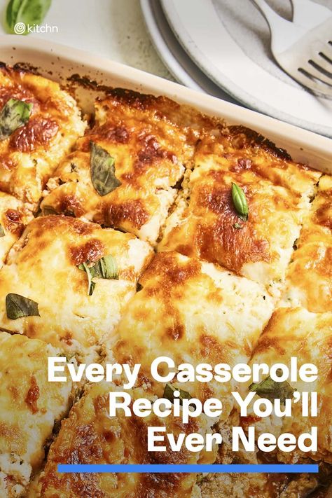 Casseroles For Elderly, Casserole To Feed A Crowd, The Best Casseroles Ever, Martha’s Company Casserole, Casserole Dishes For A Crowd, Pasta Casseroles For A Crowd, Meals That Feed A Crowd, Elegant Casserole Recipes, Company Casserole Main Dishes