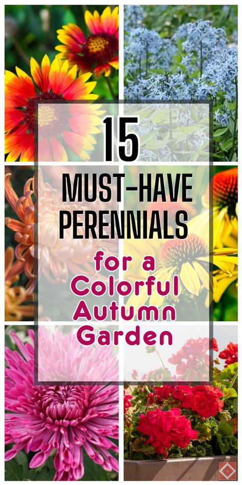 Discover 15 perennials that will make your autumn garden glow with colorful foliage. Our guide highlights the best plants to add vibrant hues to your fall landscape. Perfect for gardeners looking to enhance their garden’s beauty. Save this pin for later and transform your fall garden. Click to explore these stunning perennials! Fall Landscaping, Japanese Painted Fern, Best Perennials, Fall Landscape, Thriving Garden, Best Plants, Indoor Plant Care, Autumn Flowers, Fall Garden