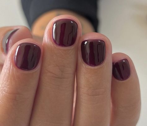 Burgundy Short Nails, Minimal Fall Nails, Milky Nails, Nagellack Trends, Casual Nails, Minimalist Nails, Dream Nails, Fire Nails, Funky Nails