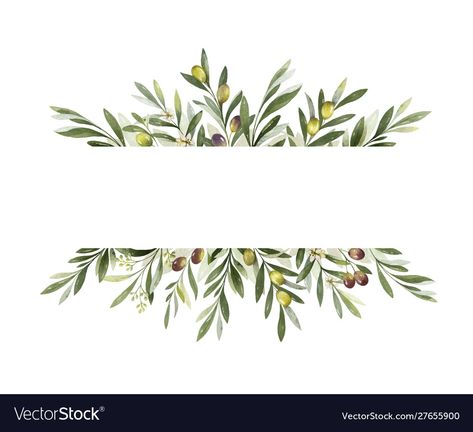 Olive Leaves Drawing, Watercolor Banner, Olive Branch Wreath, Branch Wreath, Flower Doodle, Watercolor Vector, Branch Vector, Olive Branches, Wreath Drawing